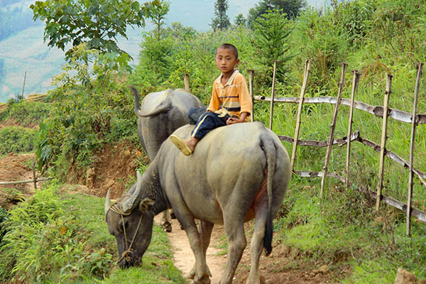 Voyage moto à Bac ha