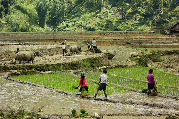 NordVietnam/RoadtripmotoVietnam - Jour 6 : Phuc An, Hanoi - NordVietnam/RoadtripmotoVietnam