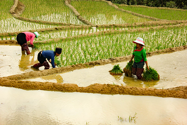 Nordvietnammoto/Vietnamexploration - Jour 2 : Phuc An, Bac Ha - Nordvietnammoto/Vietnamexploration