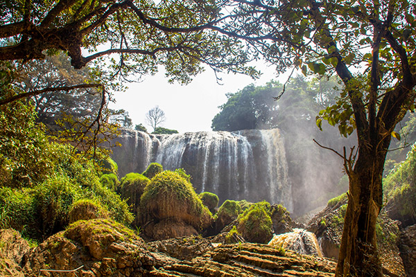 Dalat/Vietnam Exploration Dalat/Vietnam Exploration