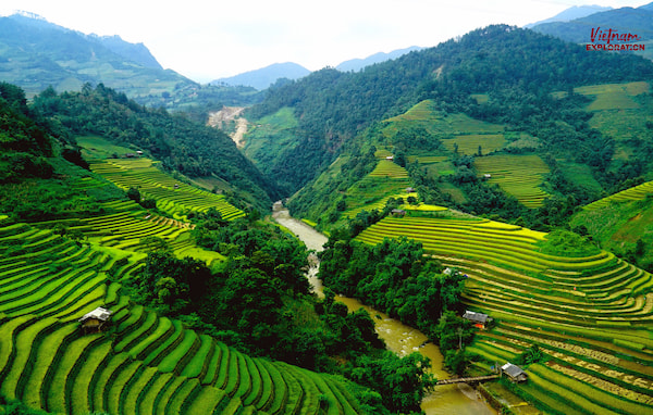 Mu Cang Chai et ses sublimes rizières en terasse