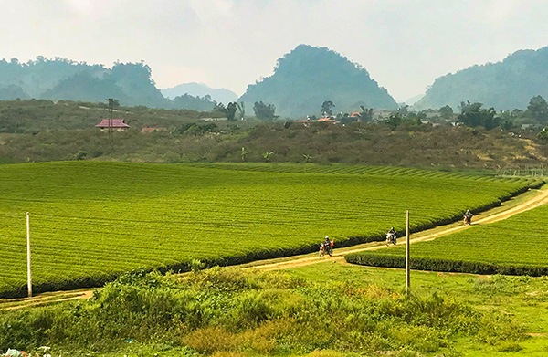 Voyage Moto à ?oc Chau Voyage Moto à ?oc Chau