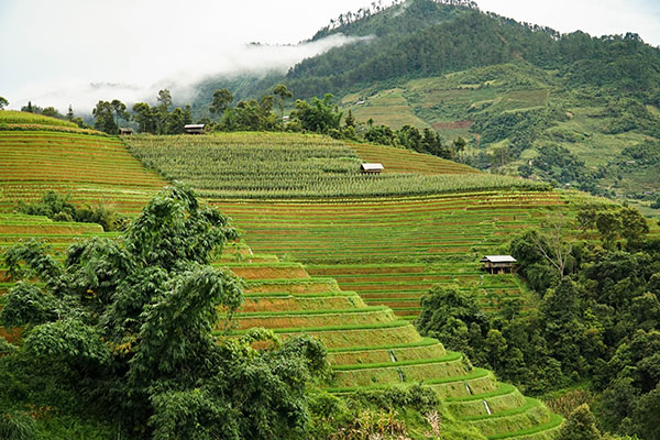 Mucangchai/Vietnamexploration