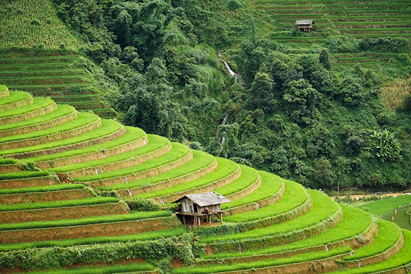 Mu cang chai/ Vietnam exploration