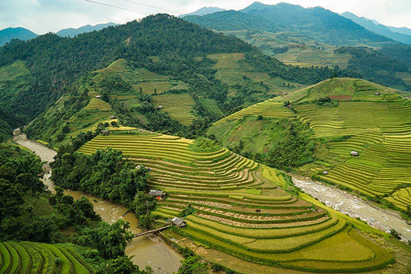 Mucangchai/VoyageVietnammoto/Vietnamexploration - Jour 4 : Nghia Lo, Mu Cang Chai, Than Uyen - Mucangchai/VoyageVietnammoto/Vietnamexploration