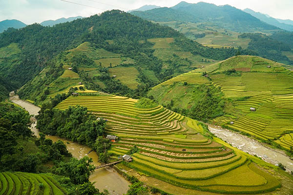 Mucangchai/ Nord Vietnam Mucangchai/ Nord Vietnam