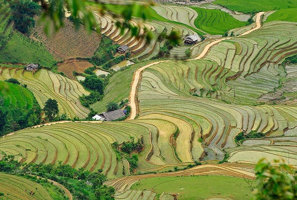 Mu cang Chai Road Trip Moto Vietnam à Mu cang chai