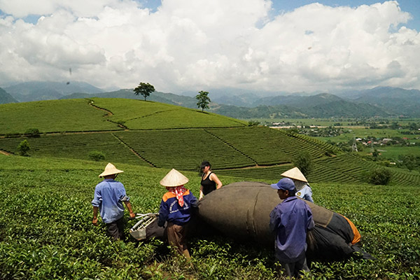 TransVietnam/Vietnamexploration - Jour 2 : Hanoï, Nghia Lo - TransVietnam/Vietnamexploration