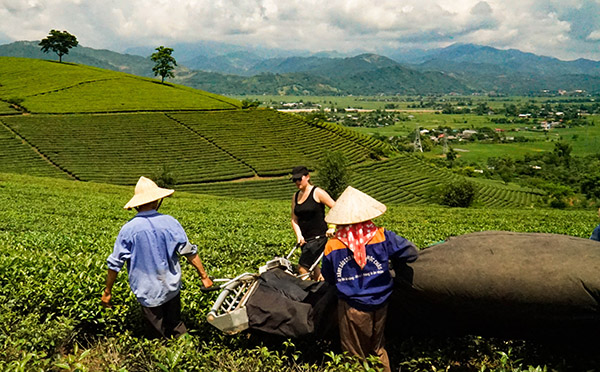 Nghia Lo/ Vietnam Exploration