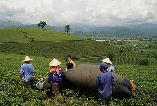 Nghialo/Vietnamexploration - Jour 3 : Thac Ba, Nghia Lo - Nghialo/Vietnamexploration