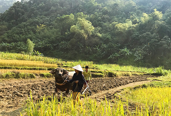 Ngoc son Ngo luong/ Vietnam Exploration