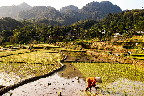 Ngoc son Ngo luong/ Vietnam Exploration