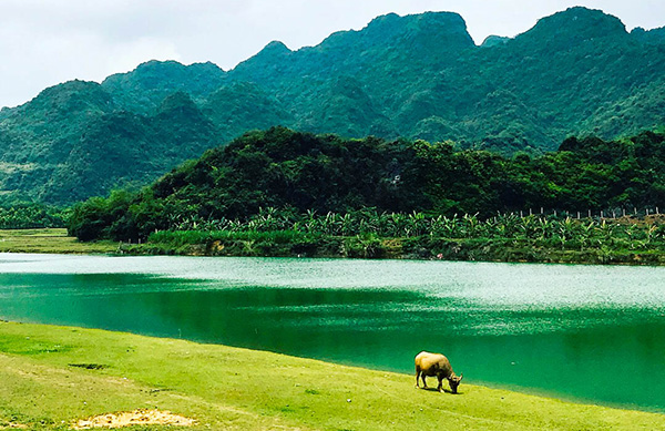 Vanlong/RoadtripmotoVietnam - Jour 7 : Hanoi, Ninh Binh - Vanlong/RoadtripmotoVietnam