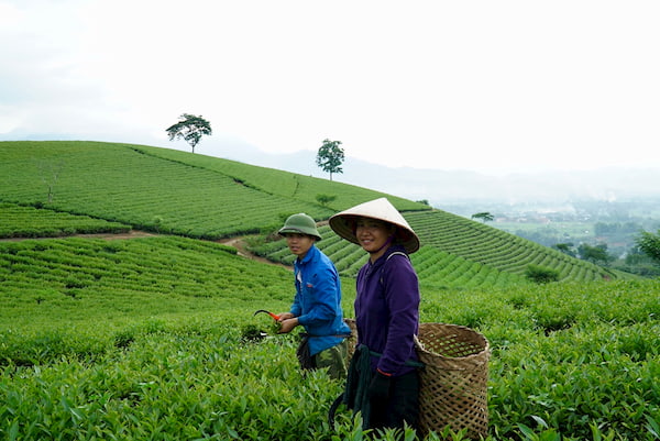  - Jour 10 : Mu Cang Chai, Nghia Lo - Balade moto Nord Vietnam - Nghia Lo