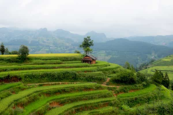  - Day 3: Bac Ha - Motorbike trip - Northern Vietnam - Small group - Bac Ha