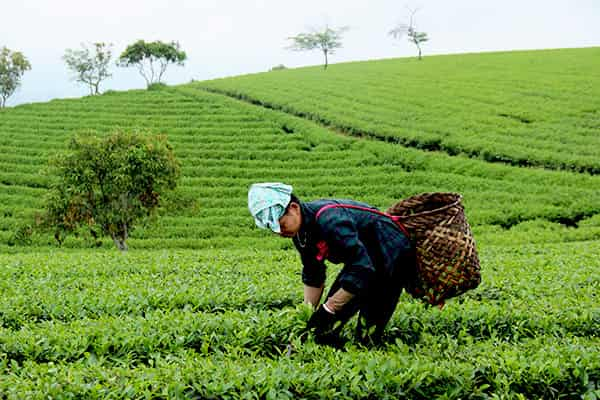  - Day 3: Thac Ba, Nghia Lo - Travel in Dien Bien Phu - Nghia Lo