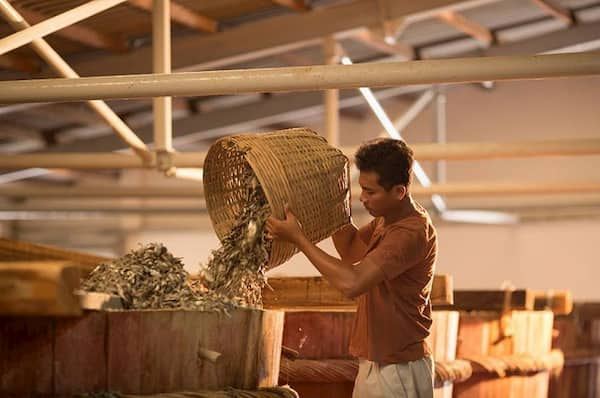 Phu Quoc - Southern Vietnam  - Fish sauce factories