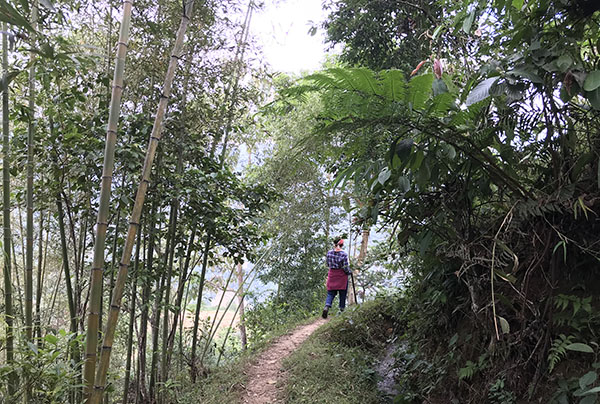 Région de' Bac ha -  - Itinéraire du Nord Vietnam en 3 semaines