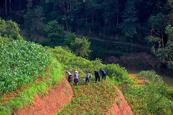  - Day 5: Sin Chai, Ta Thang - Trekking around Sapa - North Vietnam - Ta Thang