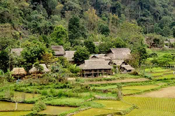  - Day 1: Hanoi, Pu Luong - Trekking in Pu Luong Nature Reserve - Village of Pom Coong