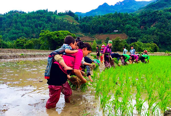 Sin Suoi Ho/Lai Chau -  - Itinéraire du Nord Vietnam en 3 semaines 