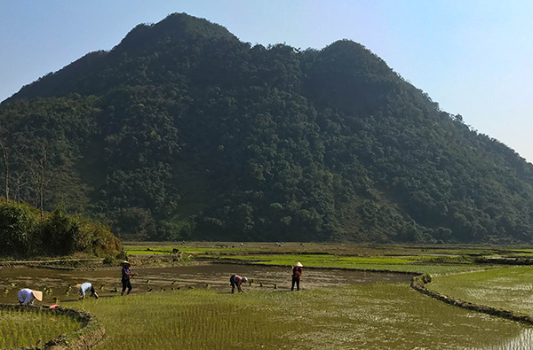 Destinations de rêve pour réussir votre Voyage Vietnam