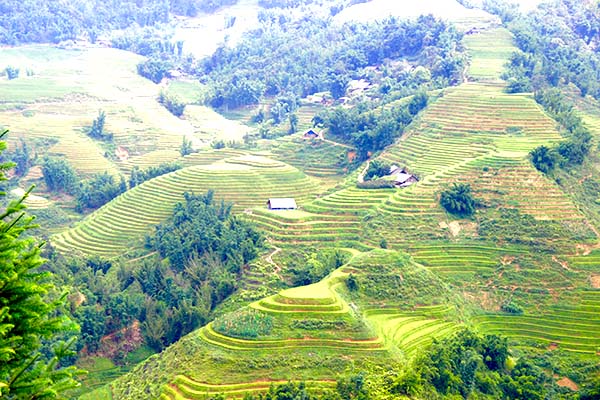 Sapa| Voyage moto Vietnam Sapa| Voyage moto Vietnam