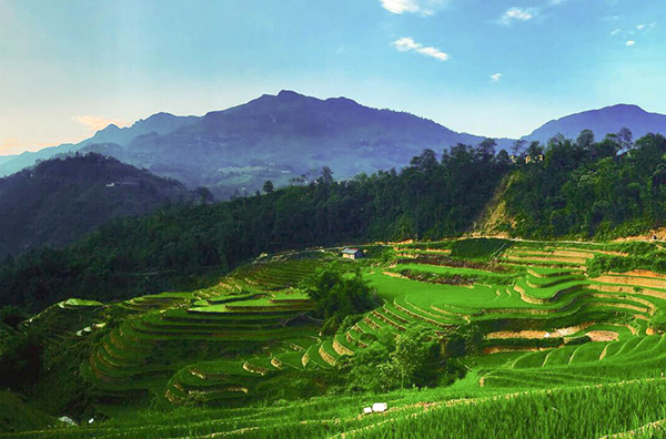 Sapa/Vietnamexploration - Jour 10 : Sapa, Mu Cang Chai - Sapa/Vietnamexploration