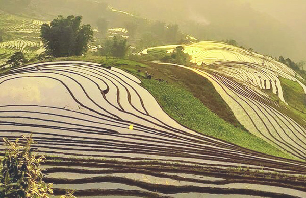 Sapa/Voyage au Vietnam -  - Sapa/Voyage au Vietnam