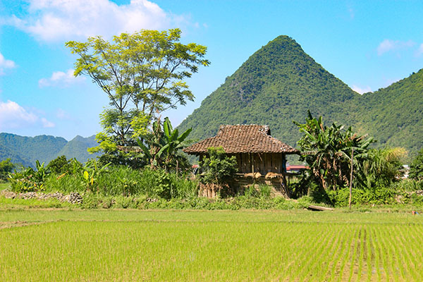 Séjour chez l'habitant au Vietnam