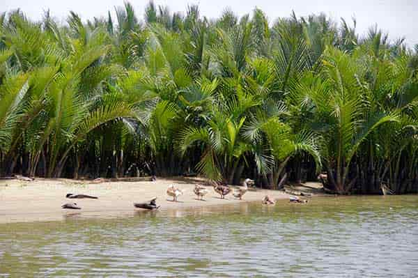 Southern Vietnam 