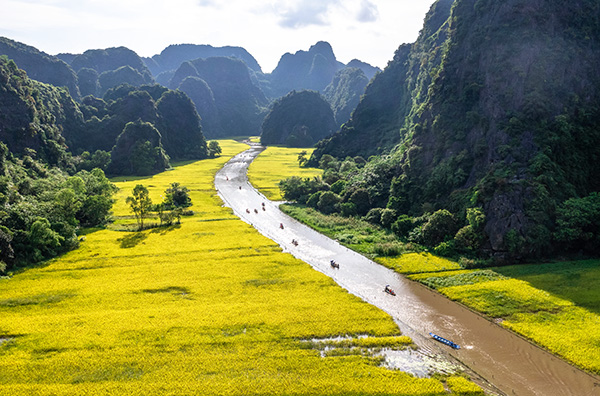 Tamcoc/Vietnamexploration - Jour 12 : Hanoï, Ninh Binh - Tamcoc/Vietnamexploration