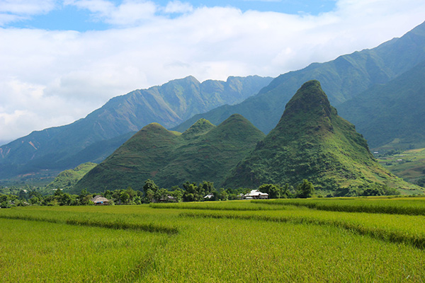 Thanuyen/Vietnamexploration - Jour 5 : Mu Cang Chai, Bac Ha - Thanuyen/Vietnamexploration