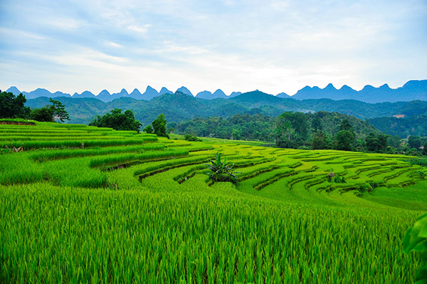 hagiang/Vietnamexploration - Jour 2 : Hanoï, Ha Giang - hagiang/Vietnamexploration