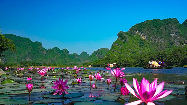 Voyage Vietnam/Ninh Binh