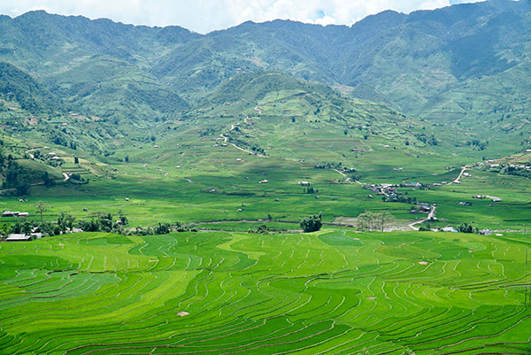 motonordvietnam - Jour 9 : Bac Ha, Mu Cang Chai - voyagemotovietnam