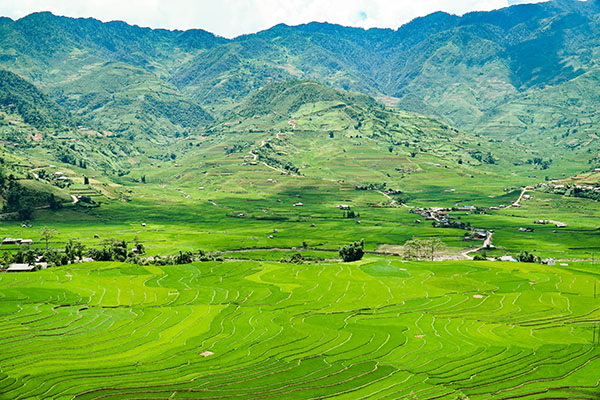 Voyage Vietnam/Mu Cang Chai