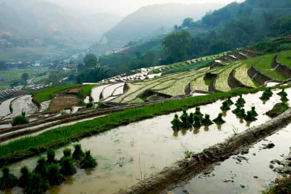  - Day 3: Nghia Lo, La Pa Tan, Mu Cang Chai - Vietnam from North to South - Mu Cang Chai