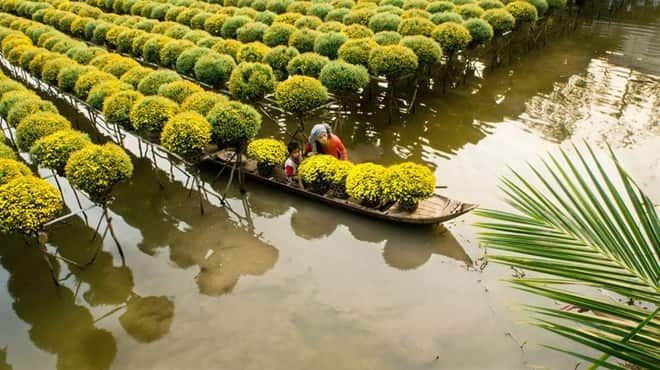  - Jour 2 : Saïgon, Ben Tre, Can Tho - Voyage Sud Nord Vietnam - Ben Tre