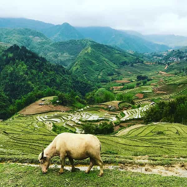  - Day 10: Sapa, Mu Cang Chai - Vietnam from South to North - Sapa