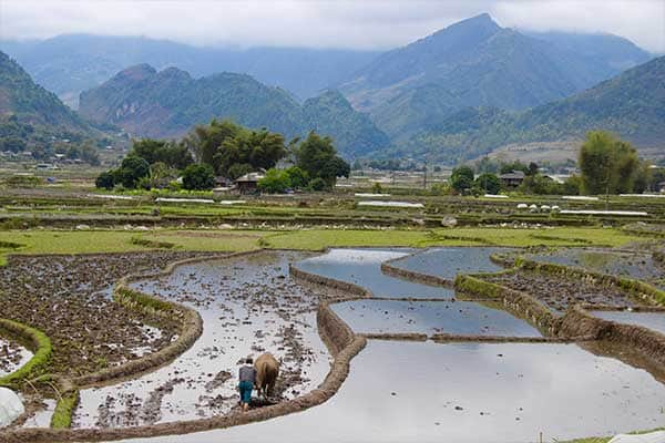 Mu Cang Chai - Northern Vietnam - Country side