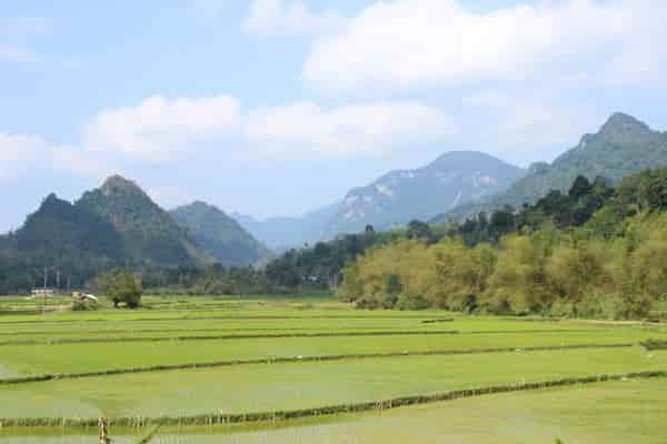  - Jour 12 : Bac Ha, Mu Cang Chai - Voyage moto Vietnam - Ethnies Nord Vietnam - Than Uyen