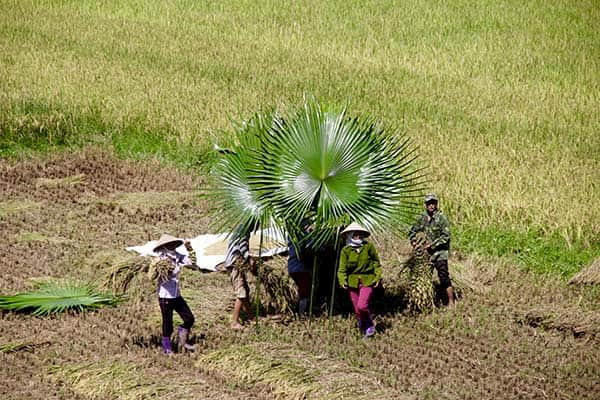 Thac Ba - Northern Vietnam - Ngoi Tu hamlet