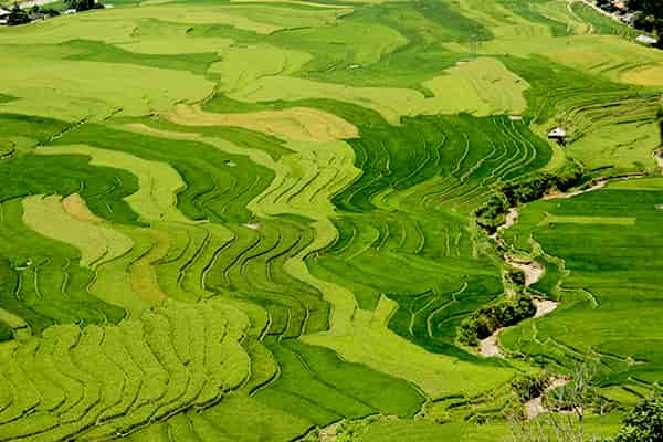 Vietnam from North to South