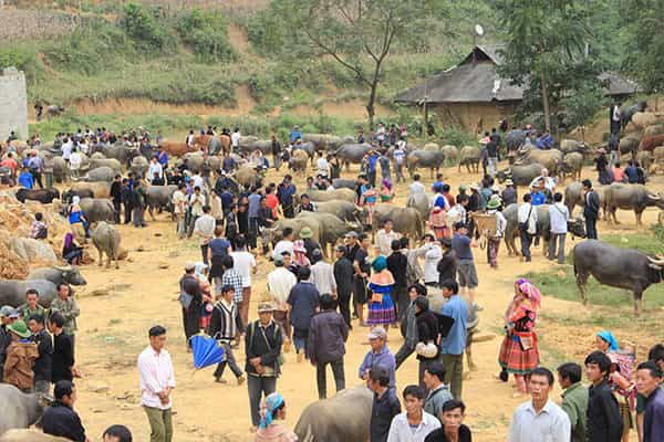  - Day 5: Bac Ha, Sin Cheng Market, Hanoi - Travel in Vietnam - Market Sin Cheng