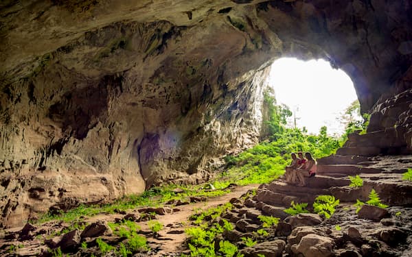 Voyage Vietnam - Parc Phong Nha