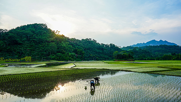 Voyage moto Vietnam/Vietnam Exploration