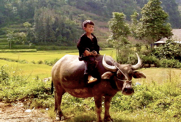 Destinations de rêve pour réussir votre Voyage Vietnam Destinations de rêve pour réussir votre Voyage Vietnam