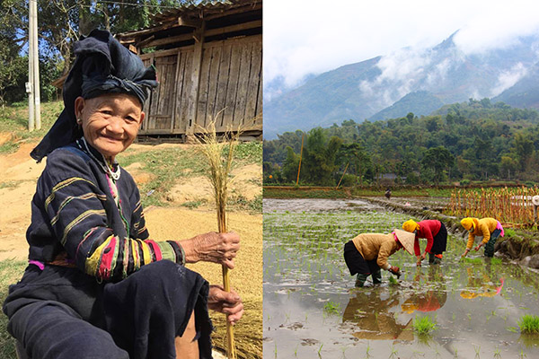 Day 4 Jour 04 Ban Gioc – Bao Lac