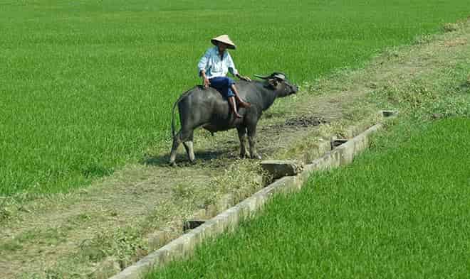Séjour à la campagne du Centre du Vietnam